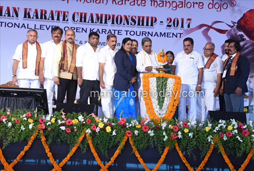 Karate Champio...
